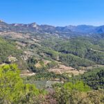 Domaine De L'écluse - Bild 4 Domaine De L'écluse - Bild 4