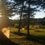 Domaine De Pradines - Bild 10 Domaine De Pradines - Bild 10