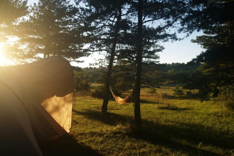 Domaine De Pradines - Bild 10 Domaine De Pradines - Bild 10