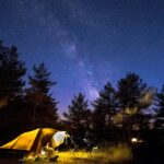 Domaine De Pradines - Bild 11 Domaine De Pradines - Bild 11