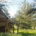 Domaine De Pradines - Bild 16 Domaine De Pradines - Bild 16