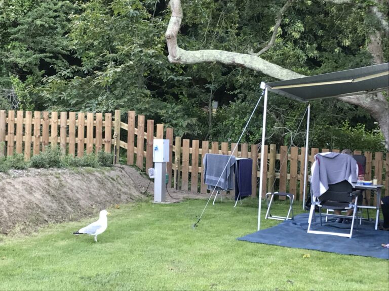 Domaine De Trestraou - Bild 7 Domaine De Trestraou - Bild 7