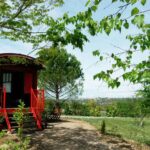 Domaine Des Cadets De Gascogne - Bild 3 Domaine Des Cadets De Gascogne - Bild 3