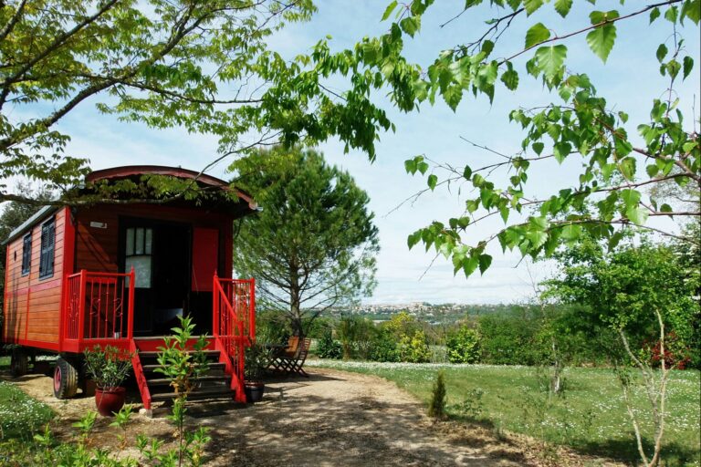 Domaine Des Cadets De Gascogne - Bild 3 Domaine Des Cadets De Gascogne - Bild 3