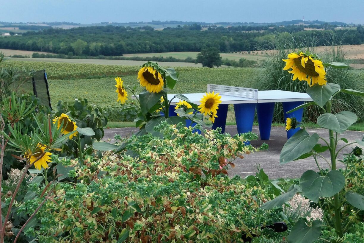 Domaine Des Cadets De Gascogne - Bild 5 Domaine Des Cadets De Gascogne - Bild 5