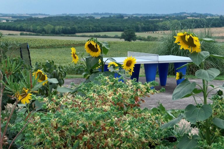 Domaine Des Cadets De Gascogne - Bild 5 Domaine Des Cadets De Gascogne - Bild 5