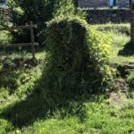 Domaine Des Vans - Bild 19 Domaine Des Vans - Bild 19