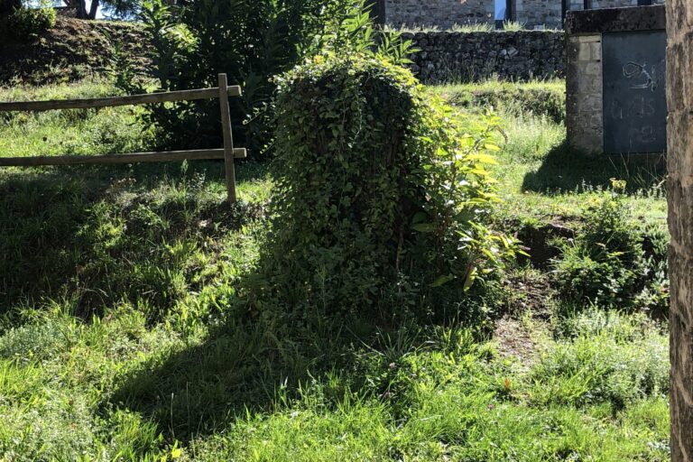 Domaine Des Vans - Bild 19 Domaine Des Vans - Bild 19