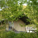 Domaine Du Bocq - Bild 7 Domaine Du Bocq - Bild 7