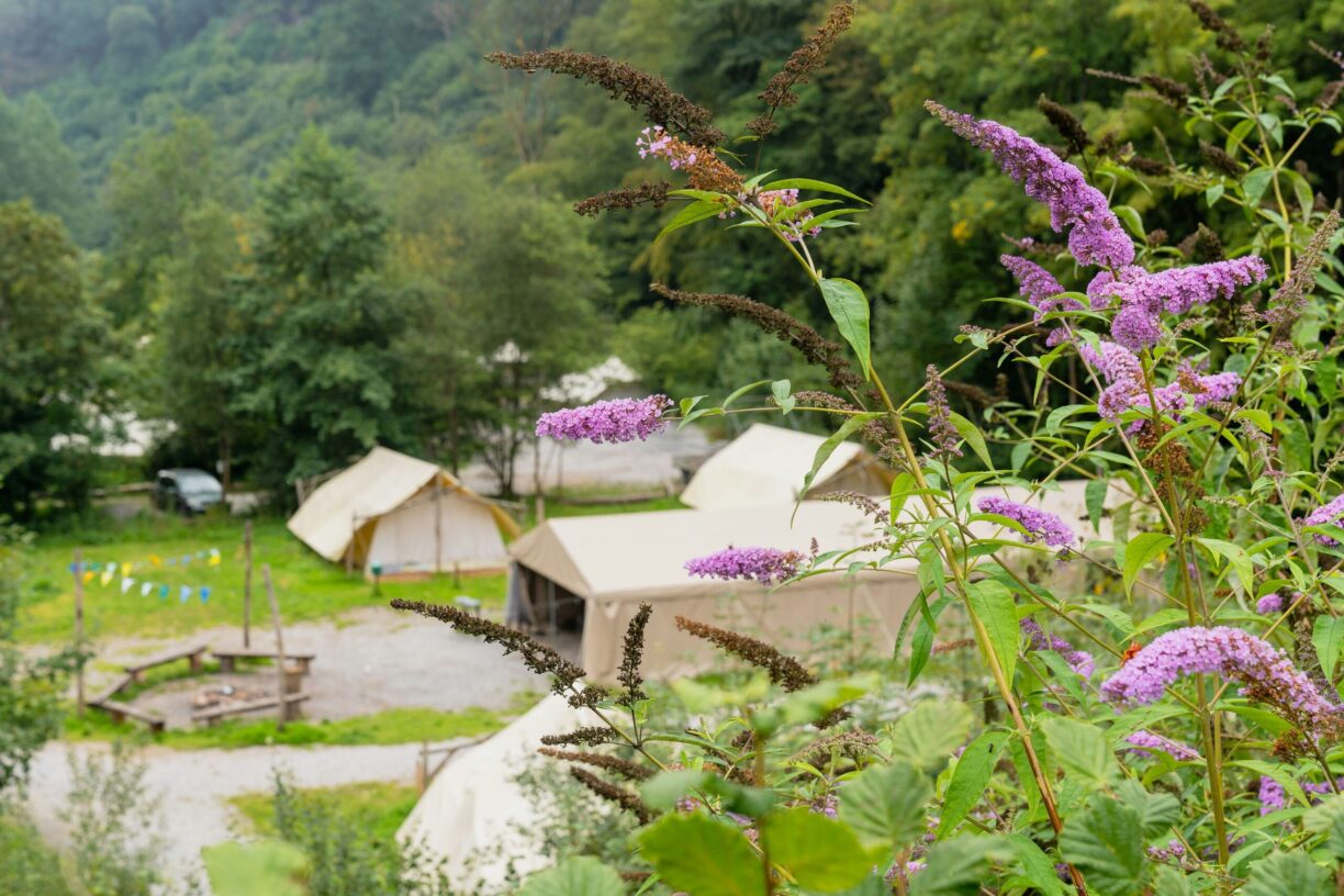 Domaine Du Bocq - Bild 1 Domaine Du Bocq - Bild 1