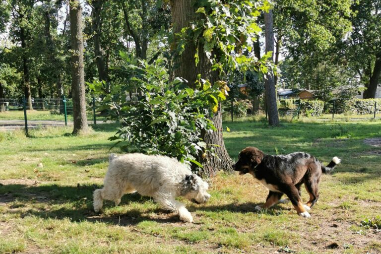 Domein De Schuur - Bild 10