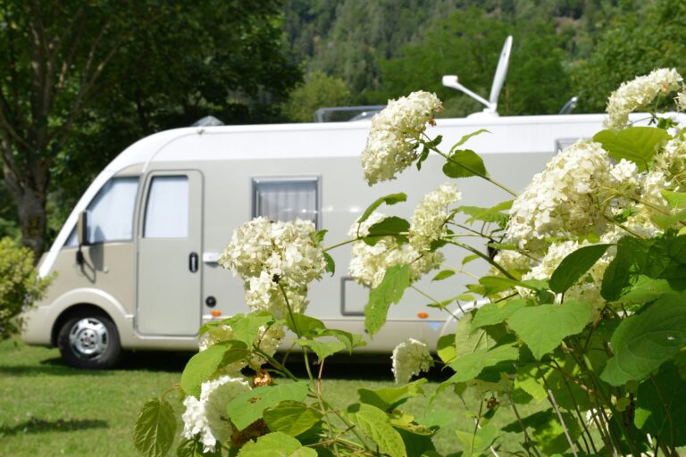 Draucamping Sachsenburg - Bild 9