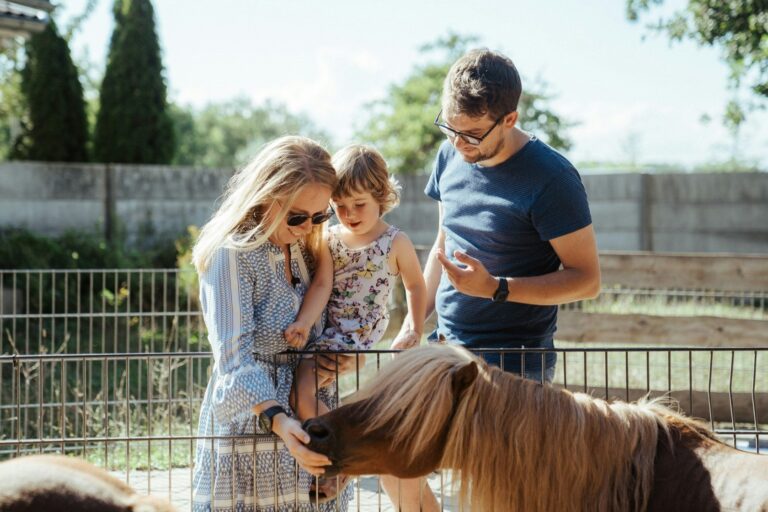 Dreiländer-camping & Freizeitpark Gugel - Bild 6 Dreiländer-camping & Freizeitpark Gugel - Bild 6