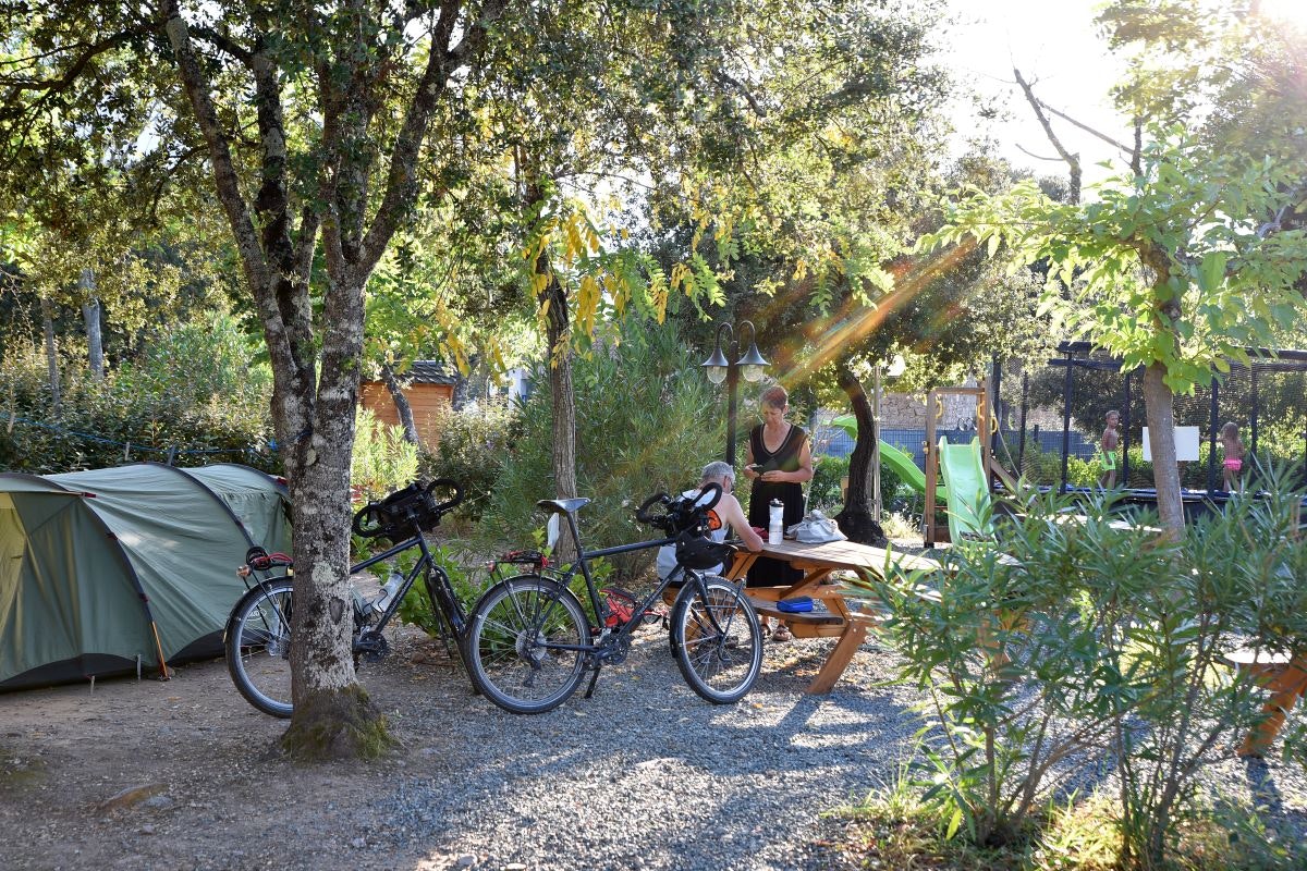 E Canicce - Bild 10 E Canicce - Bild 10