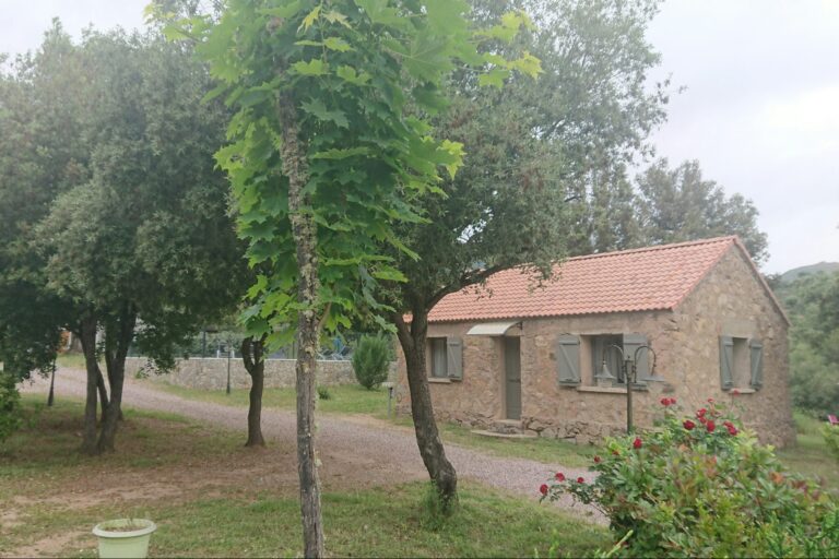 E Canicce - Bild 4 E Canicce - Bild 4