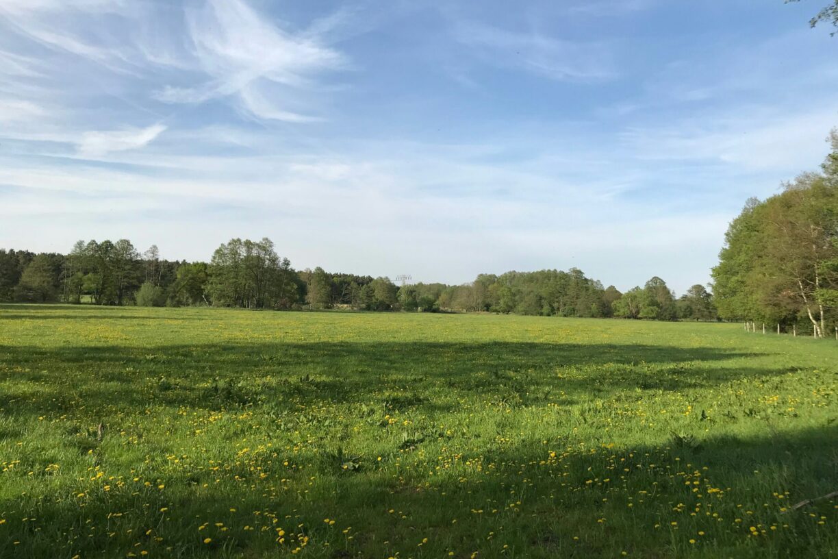 Erlebniscamping Lausitz - Bild 11 Erlebniscamping Lausitz - Bild 11