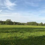 Erlebniscamping Lausitz - Bild 11 Erlebniscamping Lausitz - Bild 11