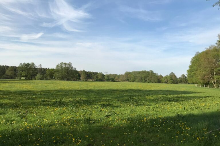 Erlebniscamping Lausitz - Bild 11 Erlebniscamping Lausitz - Bild 11