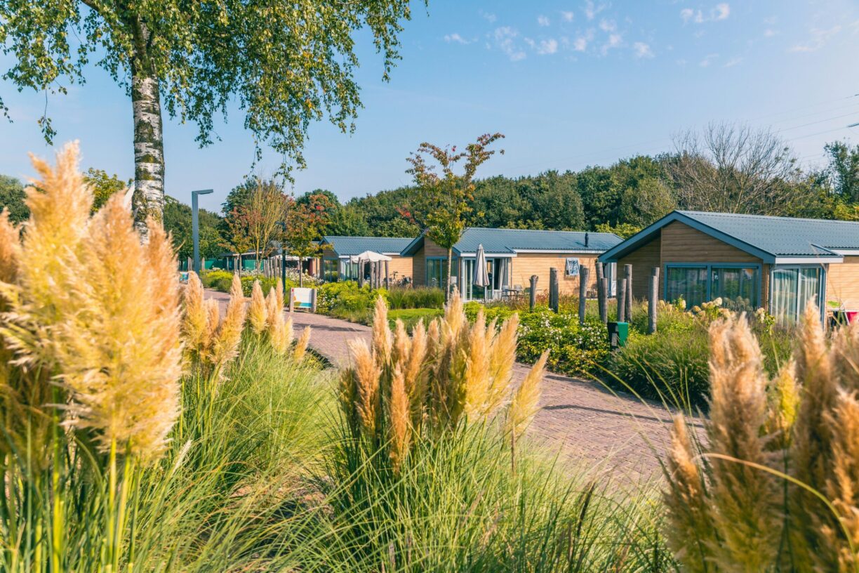 Europarcs De Kraaijenbergse Plassen - Bild 4 Europarcs De Kraaijenbergse Plassen - Bild 4