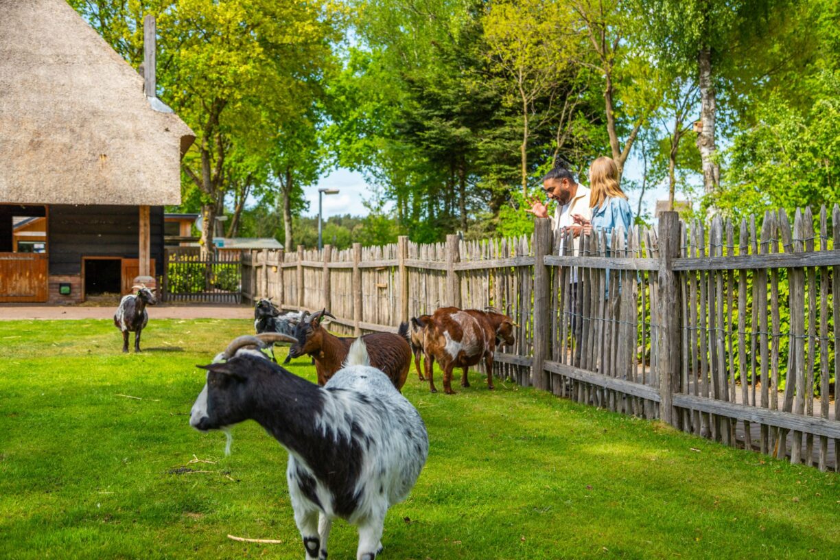 Europarcs De Wije Werelt - Bild 16 Europarcs De Wije Werelt - Bild 16