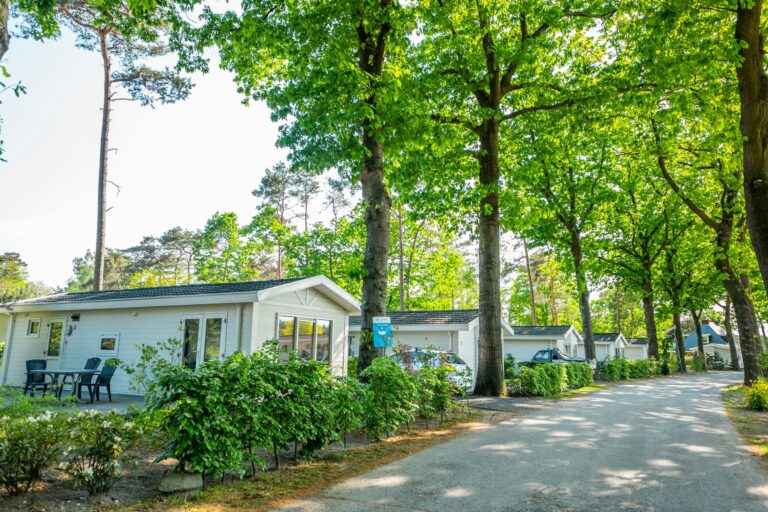 Europarcs De Zanding - Bild 6 Europarcs De Zanding - Bild 6