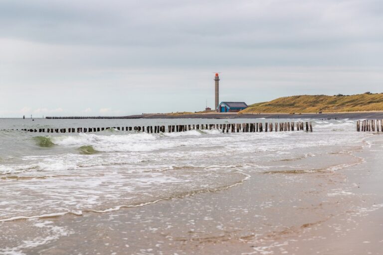 Europarcs De Zeeuwse Duinen - Bild 20
