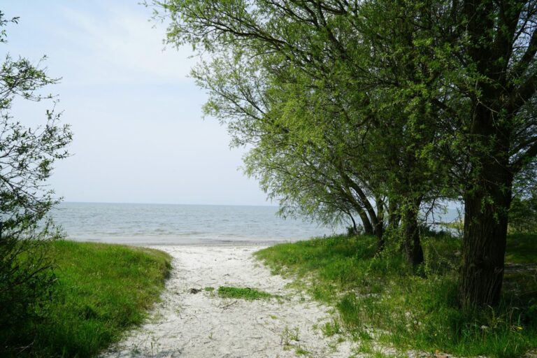 Europarcs Hindeloopen - Bild 14