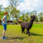 Europarcs Hoge Kempen - Bild 20 Europarcs Hoge Kempen - Bild 20