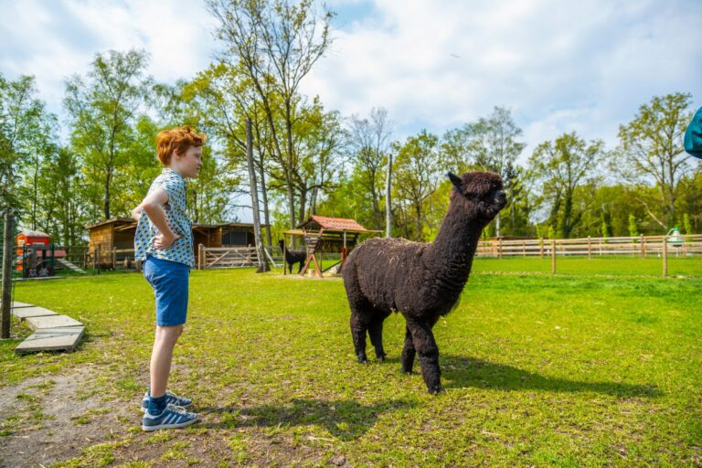 Europarcs Hoge Kempen - Bild 20 Europarcs Hoge Kempen - Bild 20