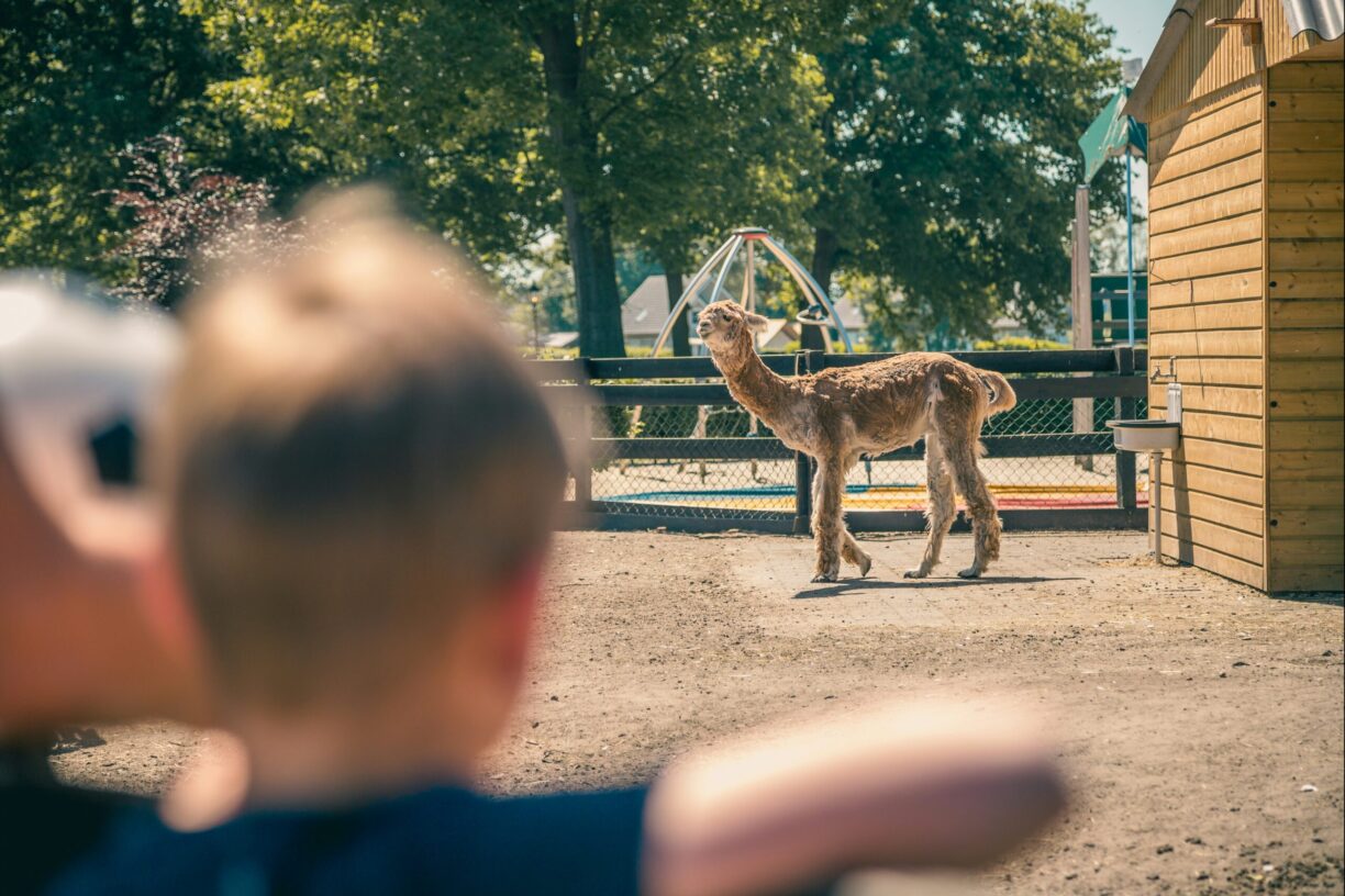 Europarcs Limburg - Bild 2 Europarcs Limburg - Bild 2