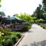 Europarcs Maasduinen - Bild 16 Europarcs Maasduinen - Bild 16