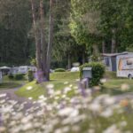 Europarcs Pressegger See - Bild 8