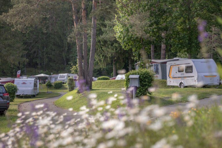 Europarcs Pressegger See - Bild 8