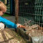 Europarcs Ruinen - Bild 19