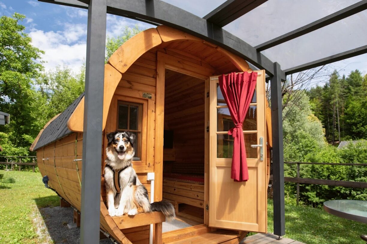 Europarcs Wörthersee - Bild 10 Europarcs Wörthersee - Bild 10