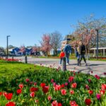 Europarcs Zuiderzee - Bild 8 Europarcs Zuiderzee - Bild 8