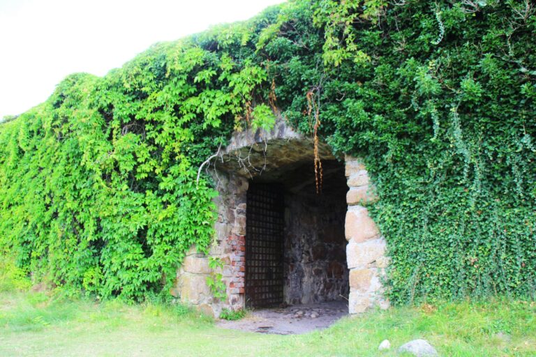 Evedals Camping Växjö - Bild 5 Evedals Camping Växjö - Bild 5