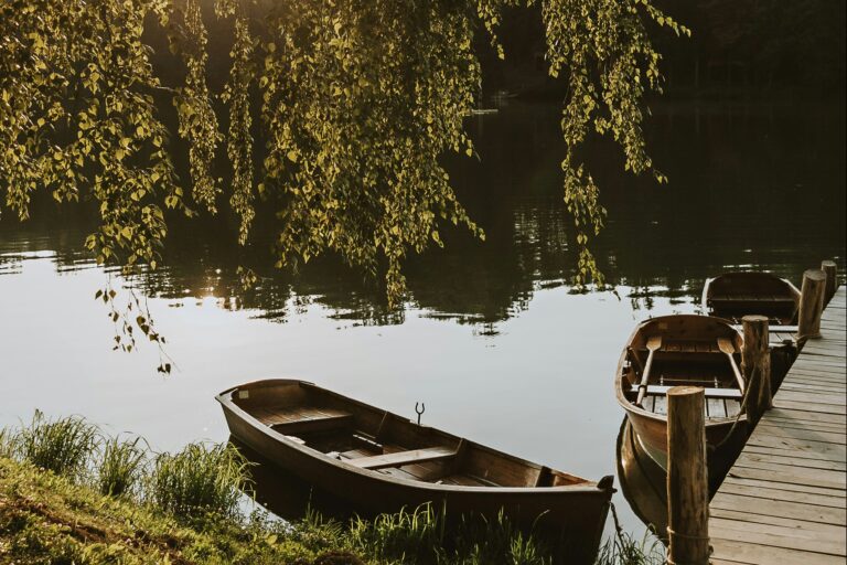 Falkensteiner Camping Lake Blaguš - Bild 13