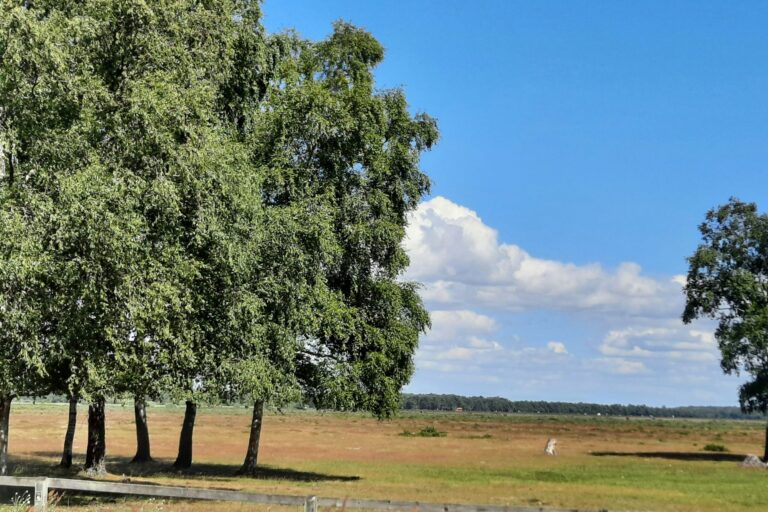 Falsterbo Camping Resort - Bild 14 Falsterbo Camping Resort - Bild 14