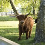 Falsterbo Camping Resort - Bild 15 Falsterbo Camping Resort - Bild 15