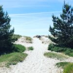 Falsterbo Camping Resort - Bild 5 Falsterbo Camping Resort - Bild 5