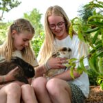 Familie Camping Nymindegab - Bild 12 Familie Camping Nymindegab - Bild 12