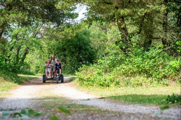 Familie Camping Nymindegab - Bild 15 Familie Camping Nymindegab - Bild 15