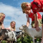 Familie Camping Nymindegab - Bild 2 Familie Camping Nymindegab - Bild 2