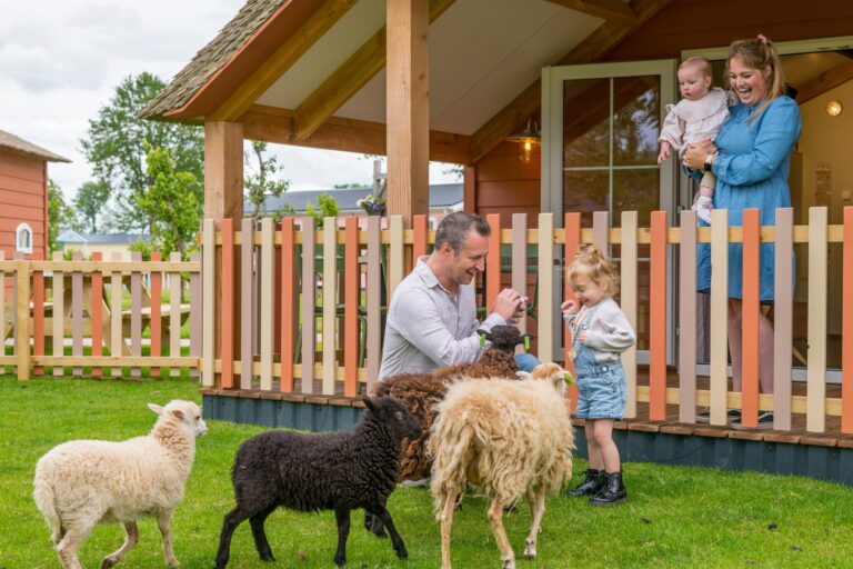 Familie Resort Molenwaard - Bild 16