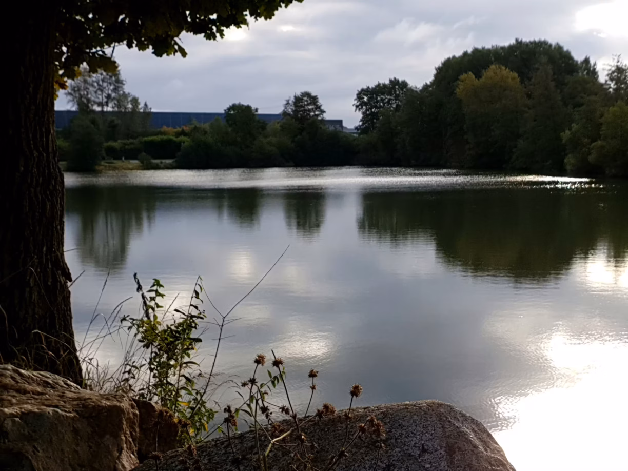 Familien Campingplatz Forellensee Seeblick 1224x918