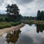 Familiepark De Vechtvallei - Bild 14