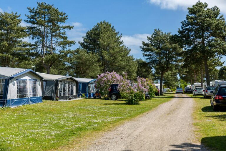 Feddet Strand Resort - Bild 7