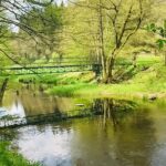 Ferienhof & Campingplatz Schweinmühle - Bild 7