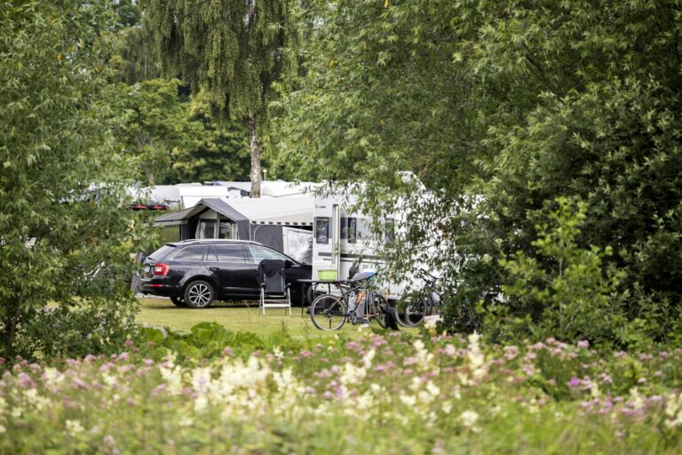 First Camp Bøsøre Strand - Fyn - Bild 1